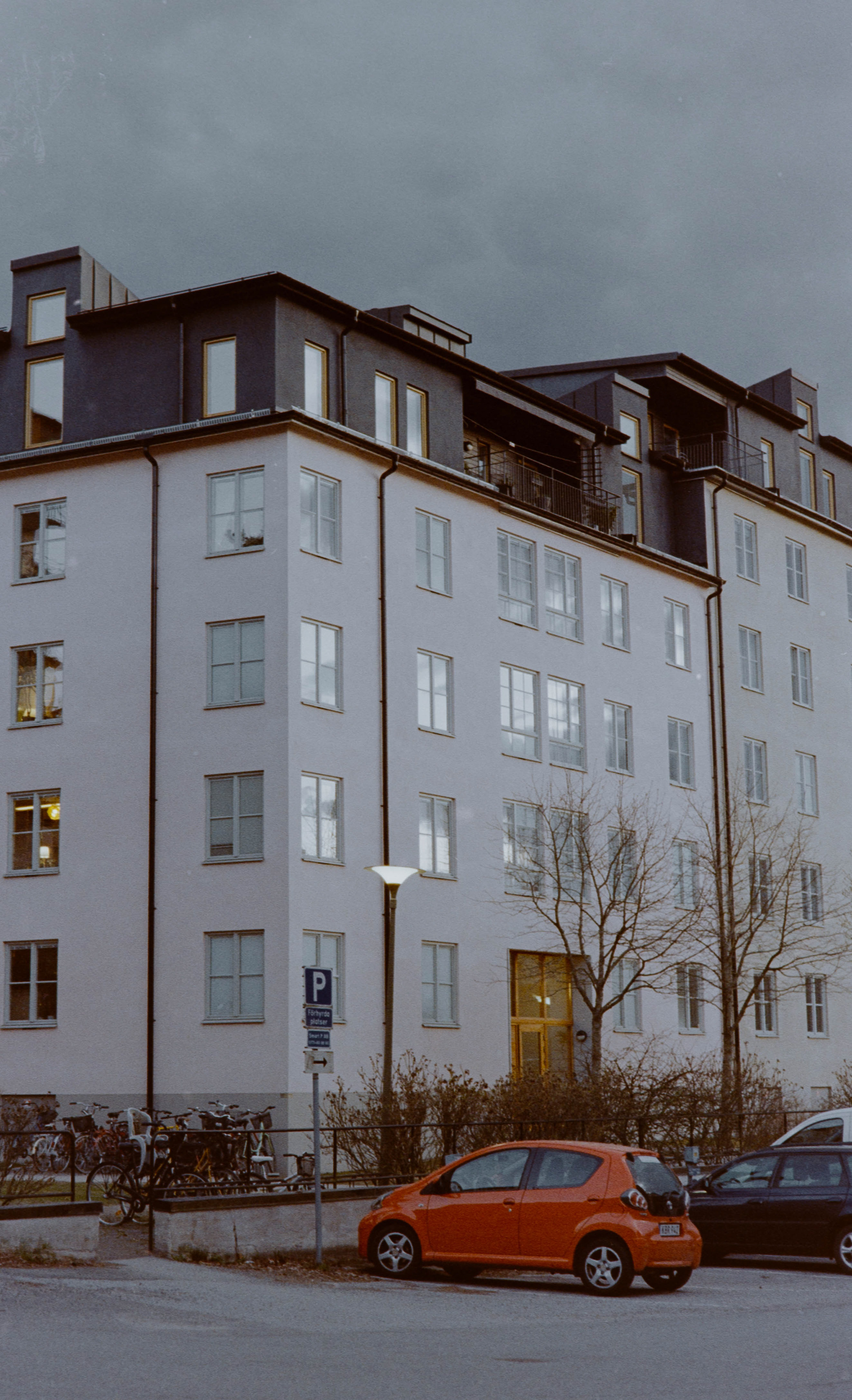 Kodak Gold, Canon AV-1, 50mm 1.8