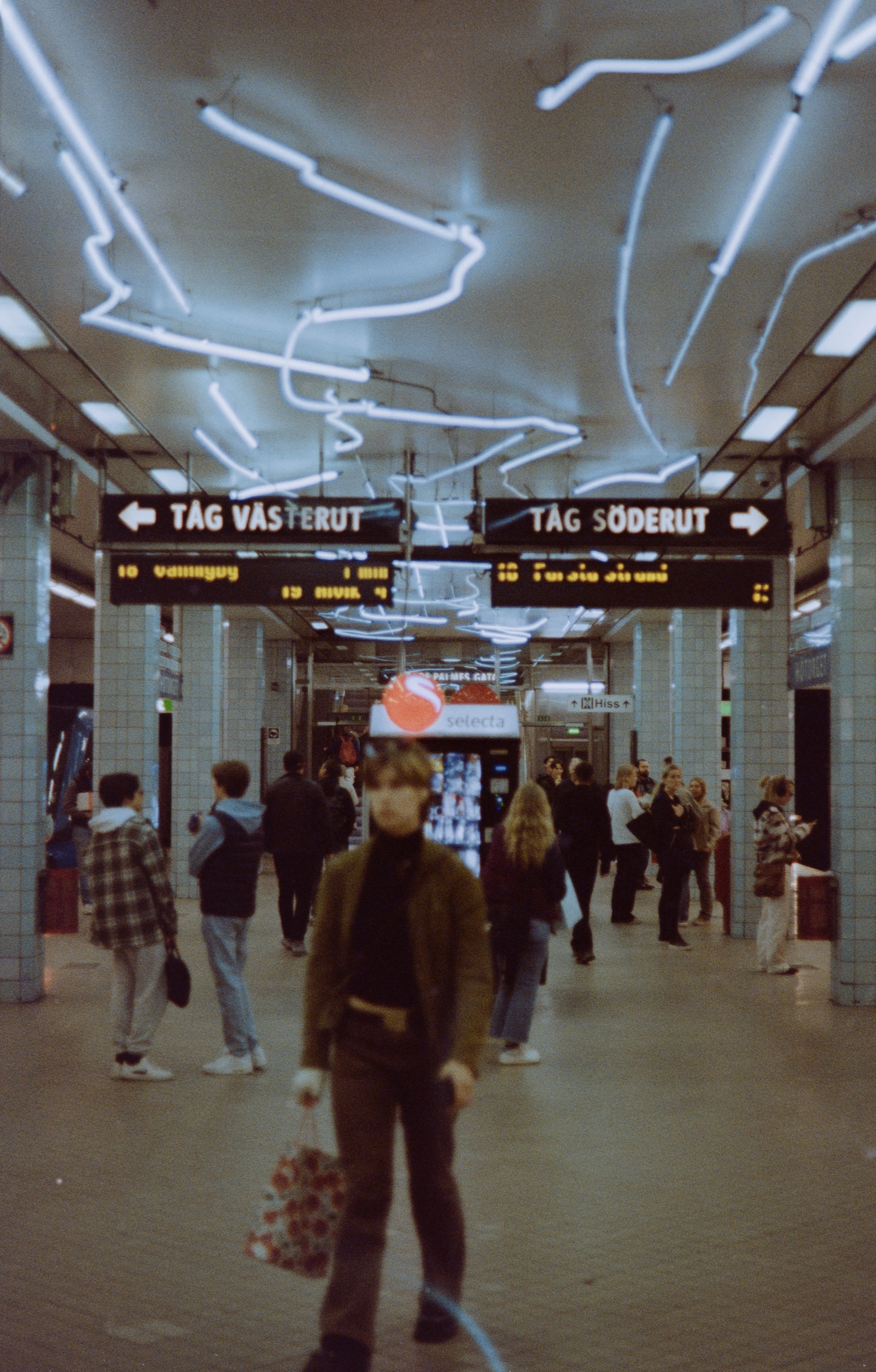 Kodak Gold, Canon AV-1, 50mm 1.8