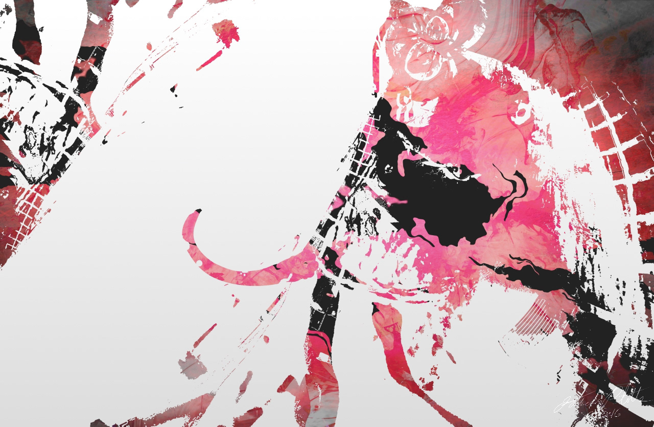 Elephant Print | Abstract Art