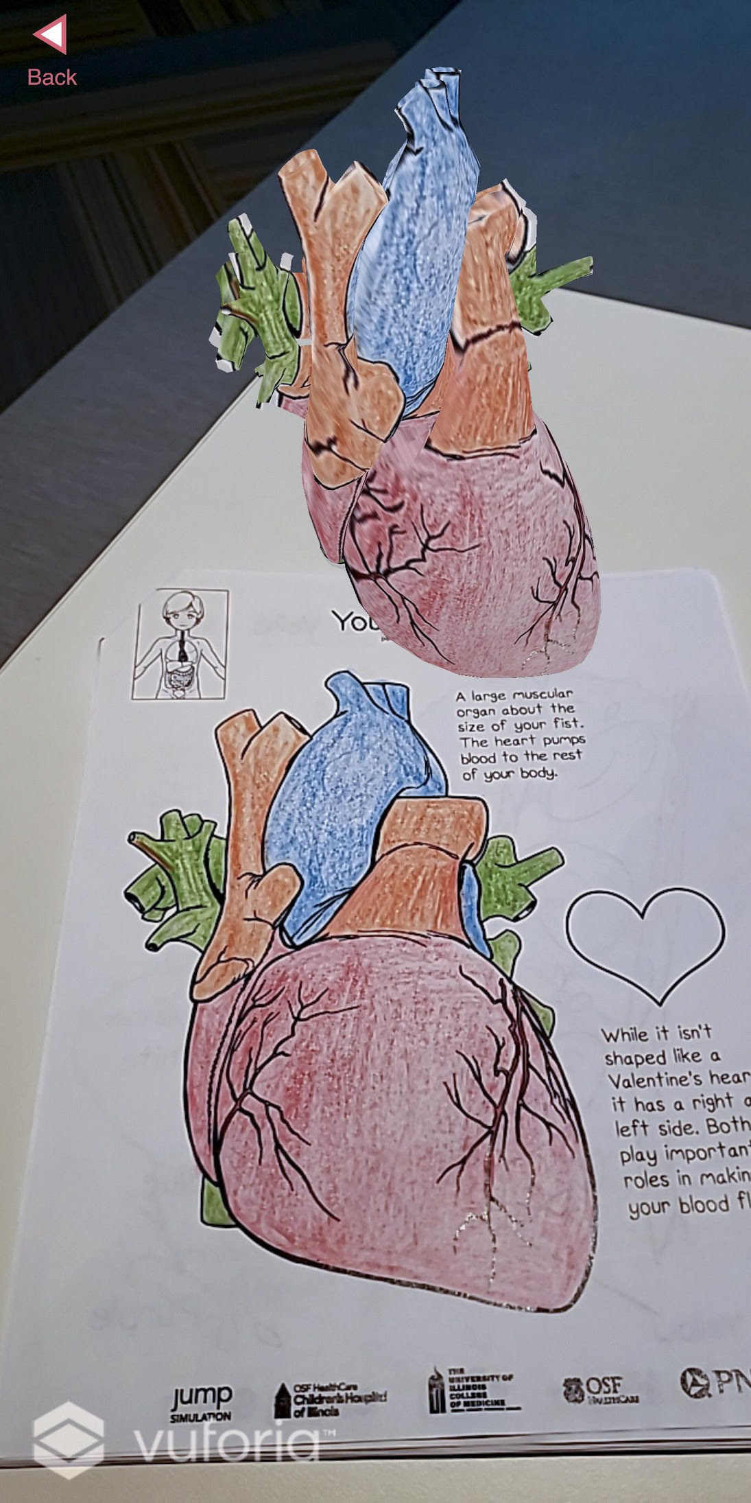 Example of the AR coloring book activities.