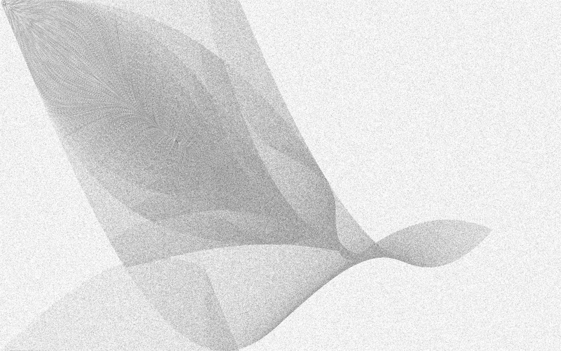 Iterated Function Systems (plant) | Generative Art