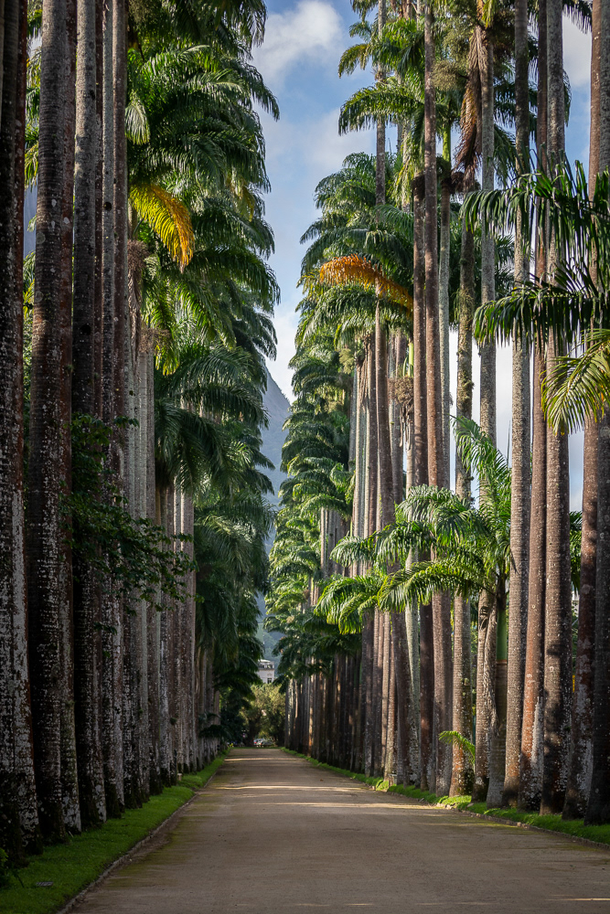 Botanical Garden