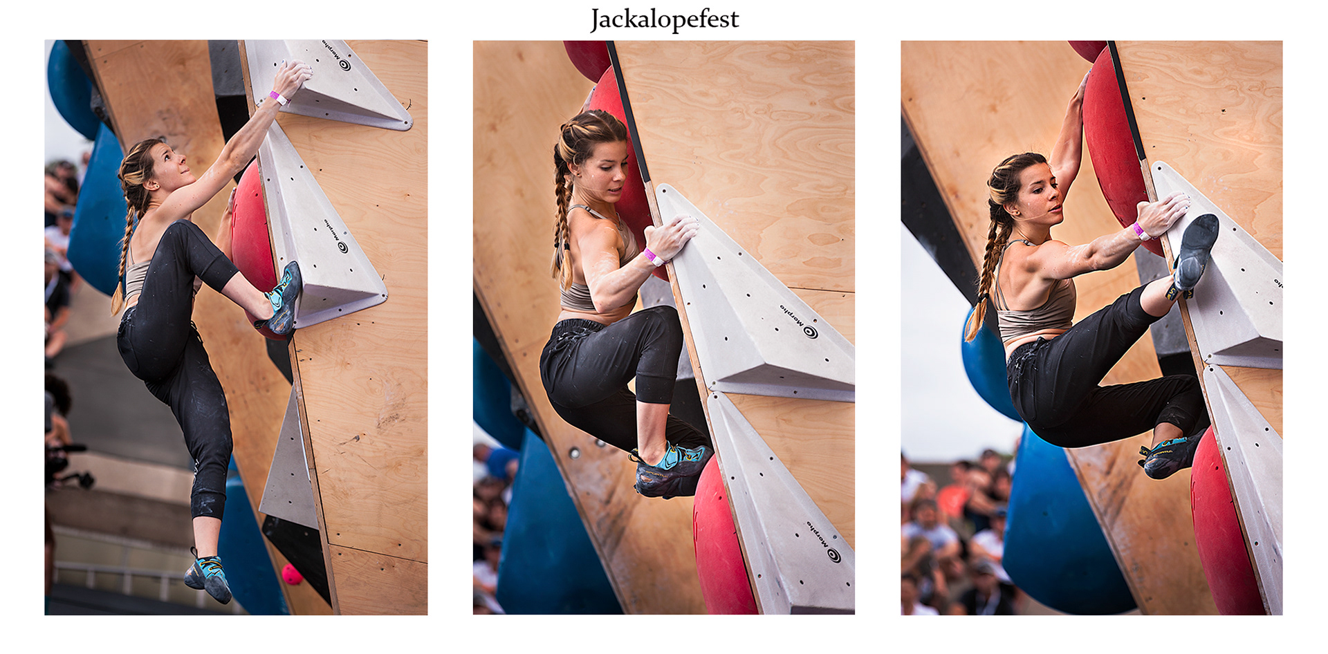 Jackalope Fest 2017 Edition