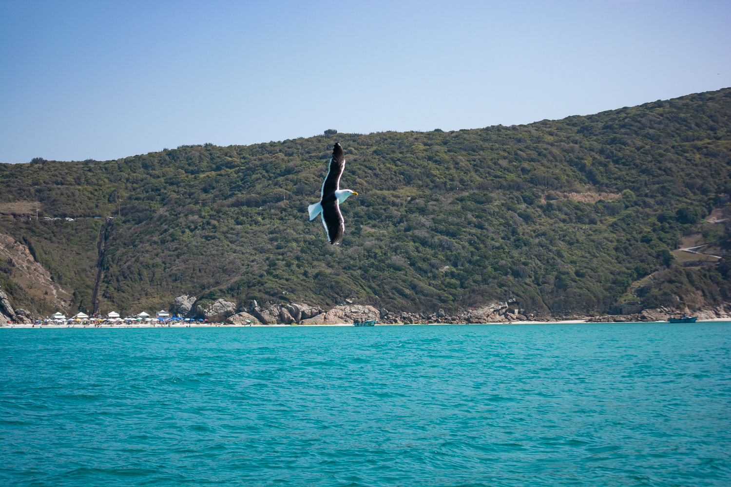 Cabo Frio Boat ride