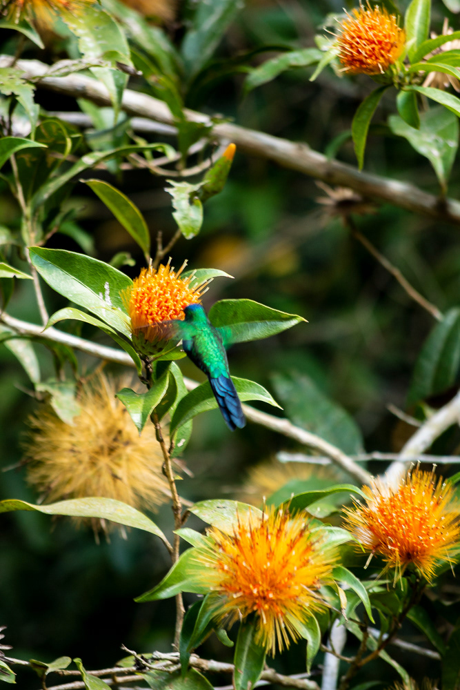 Botanical Garden