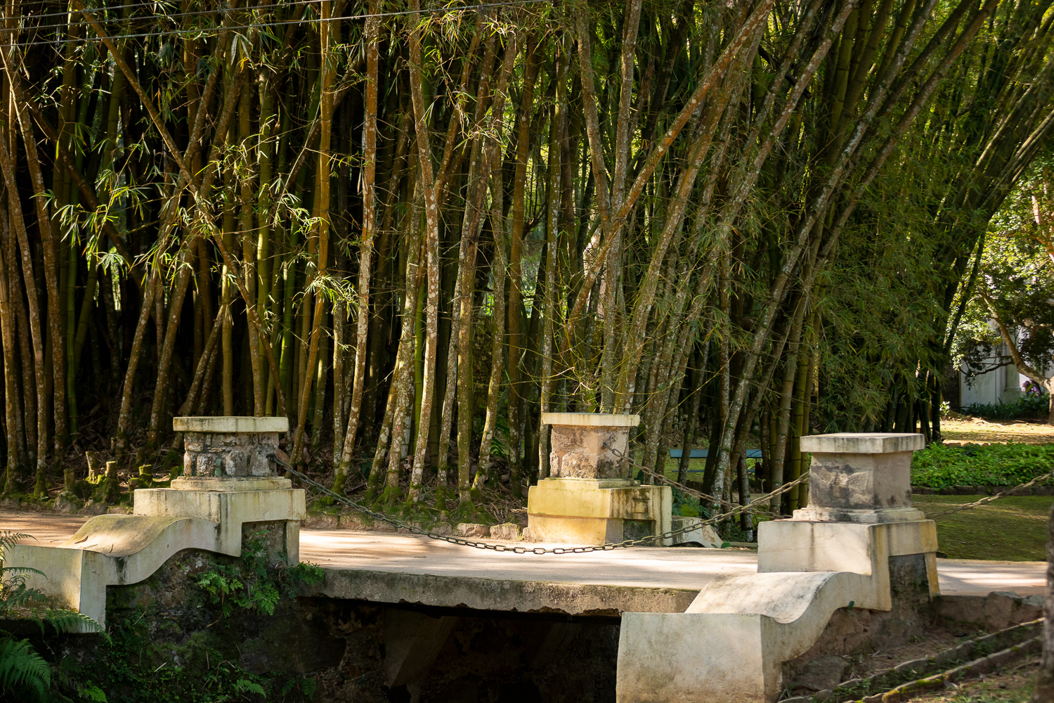 Botanical Garden