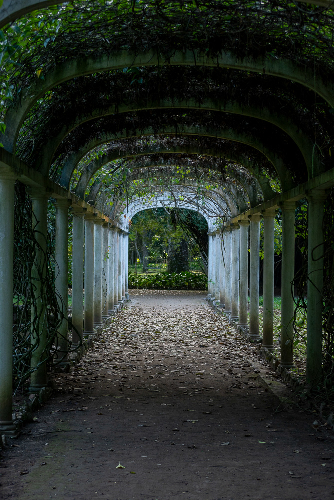 Botanical Garden