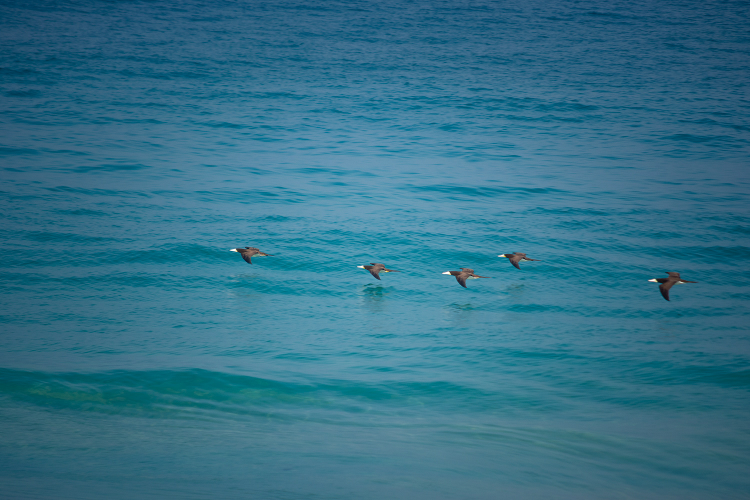 Ipanema Beach