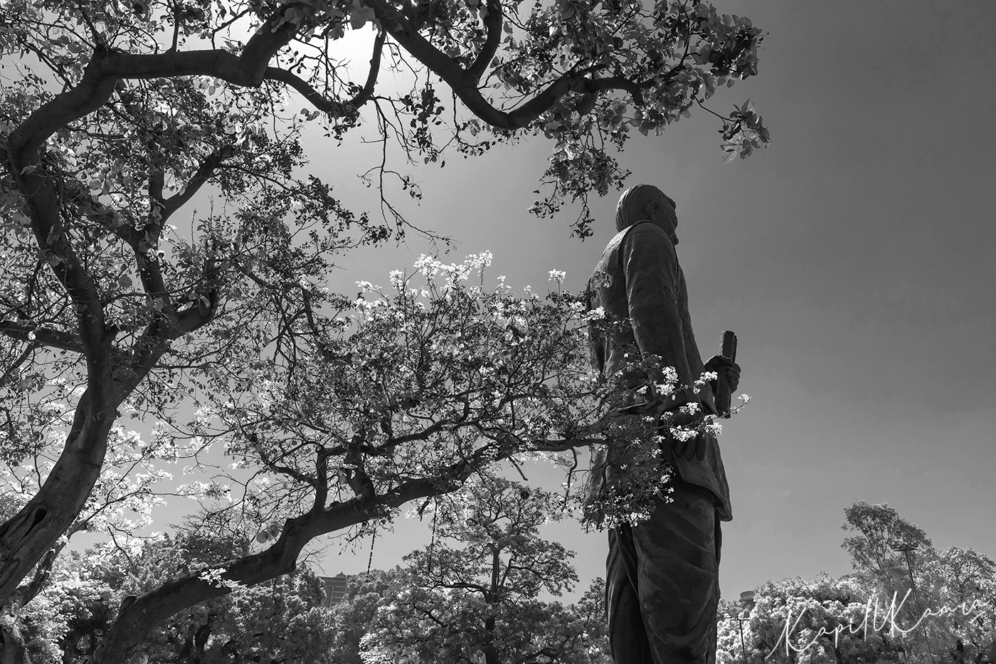 PANDIT DEENDAYAL UDYAN [DELHI]