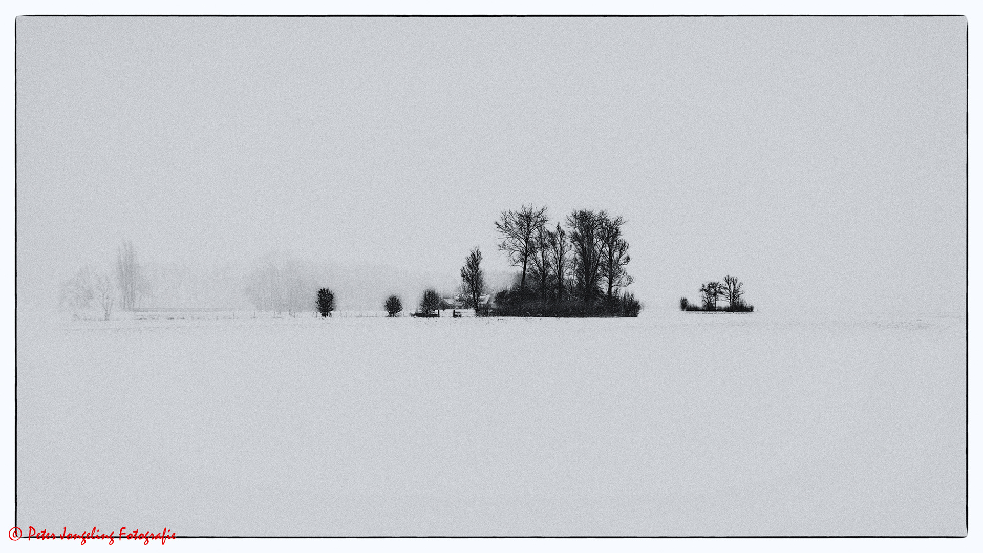 winter bij Haarzuilens