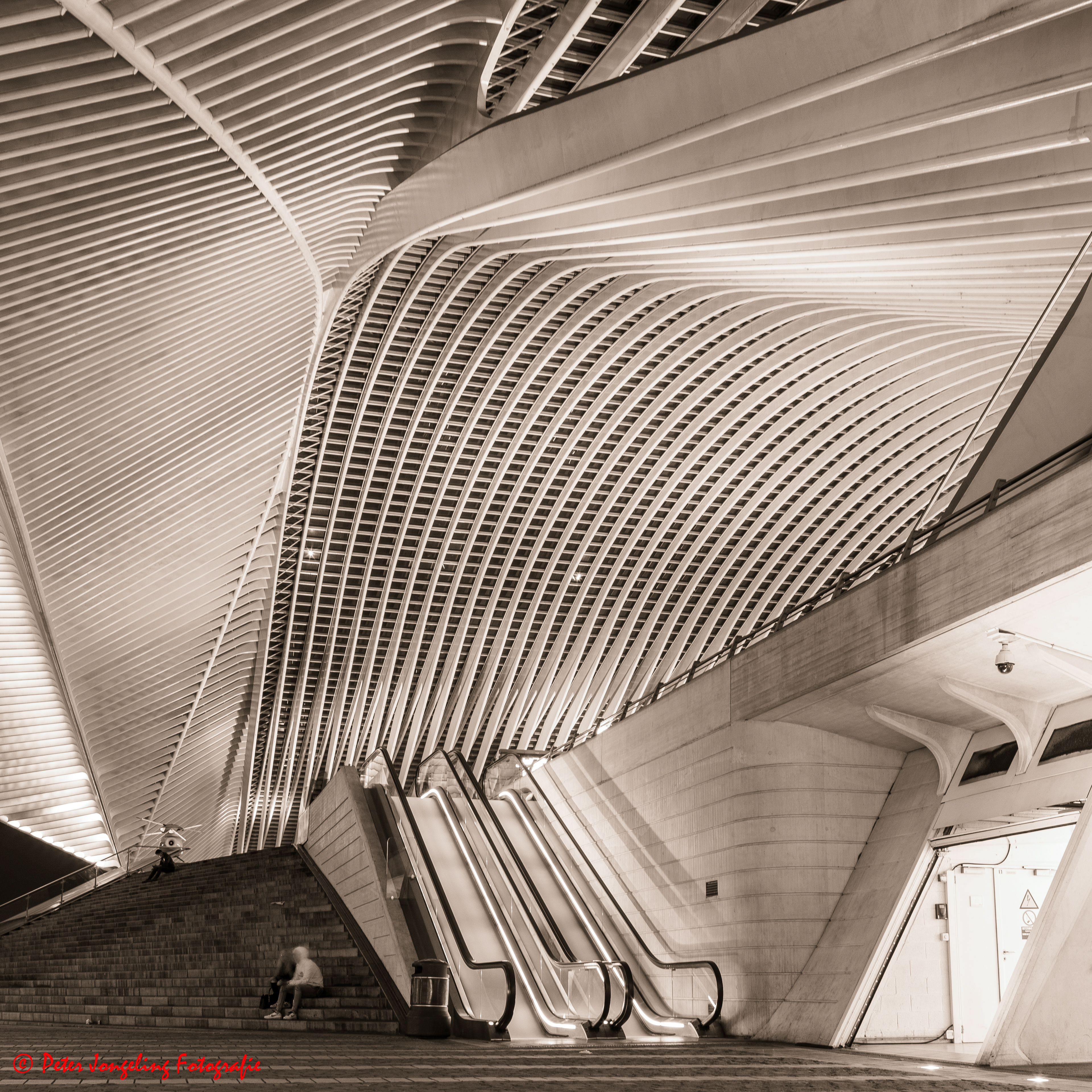 station Guillemins Luik