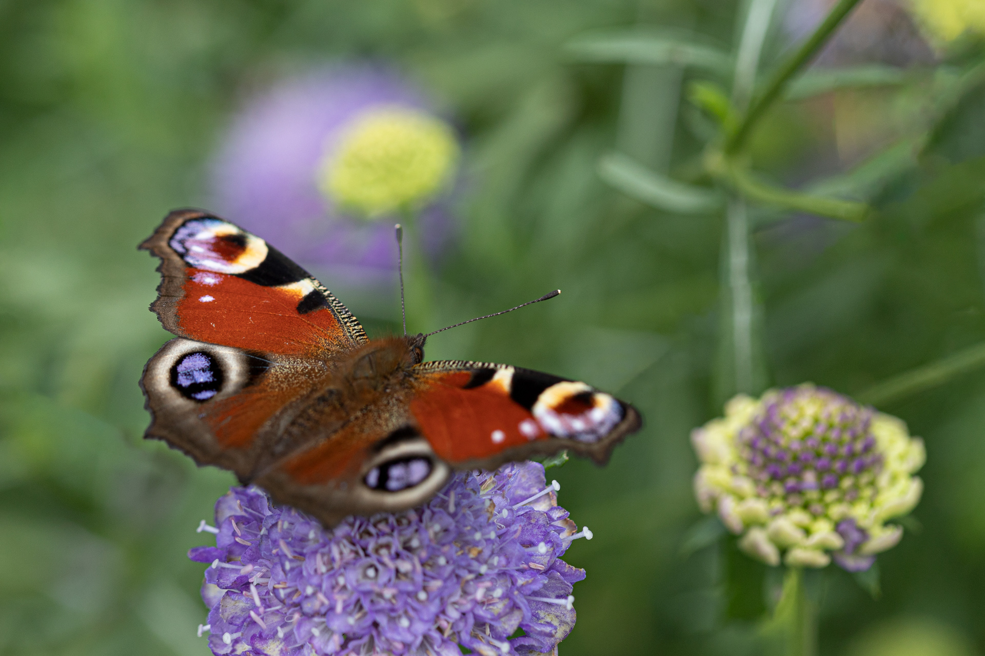 Hortus Uithof Utrecht