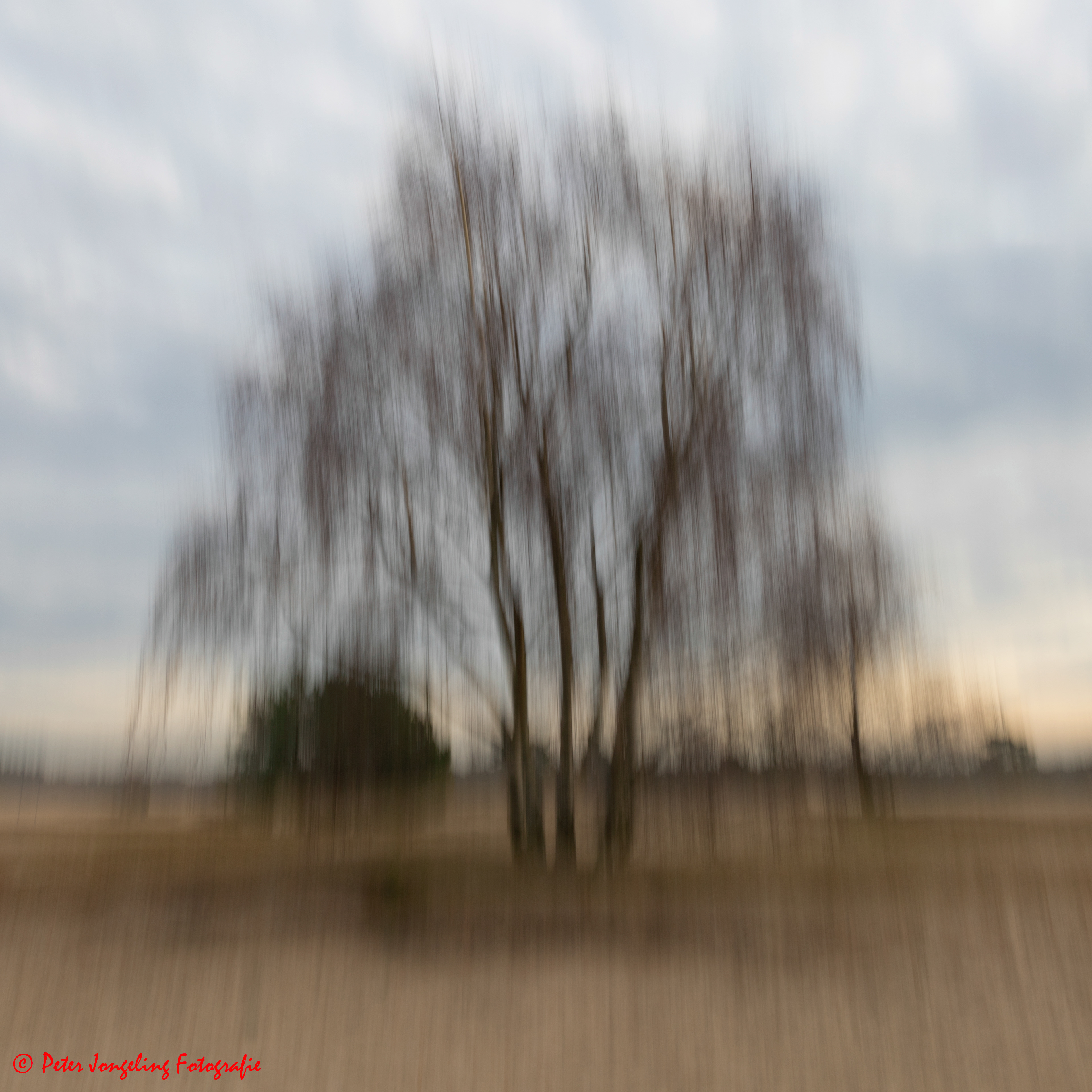 Soesterduinen
