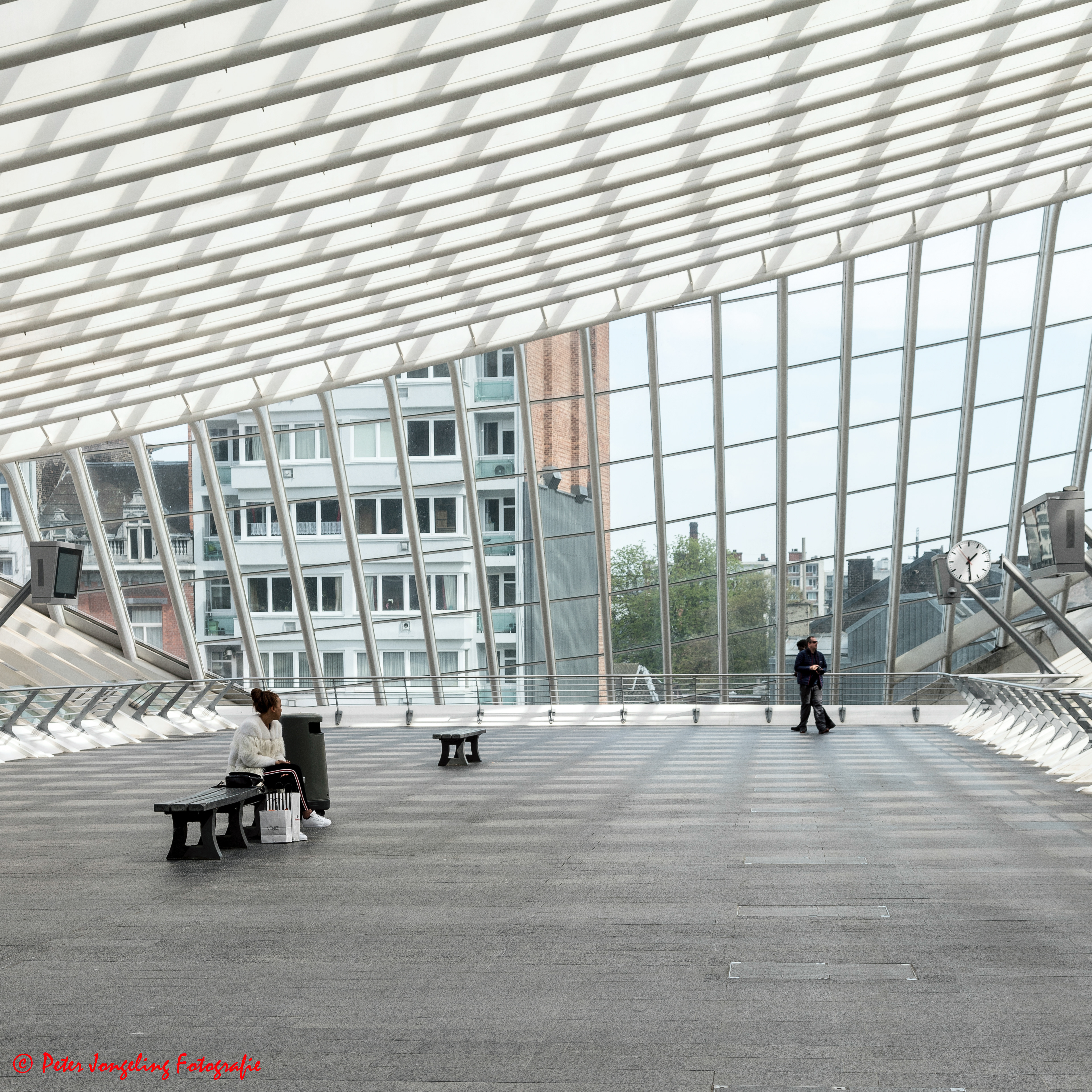 station Guillemins Luik