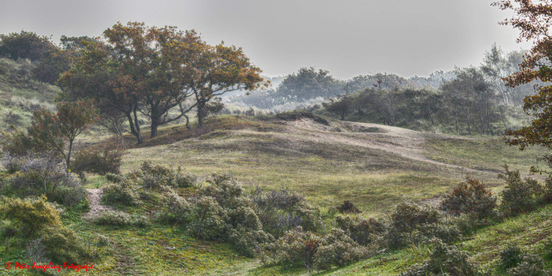 Amsterdamse Waterleidingduinen