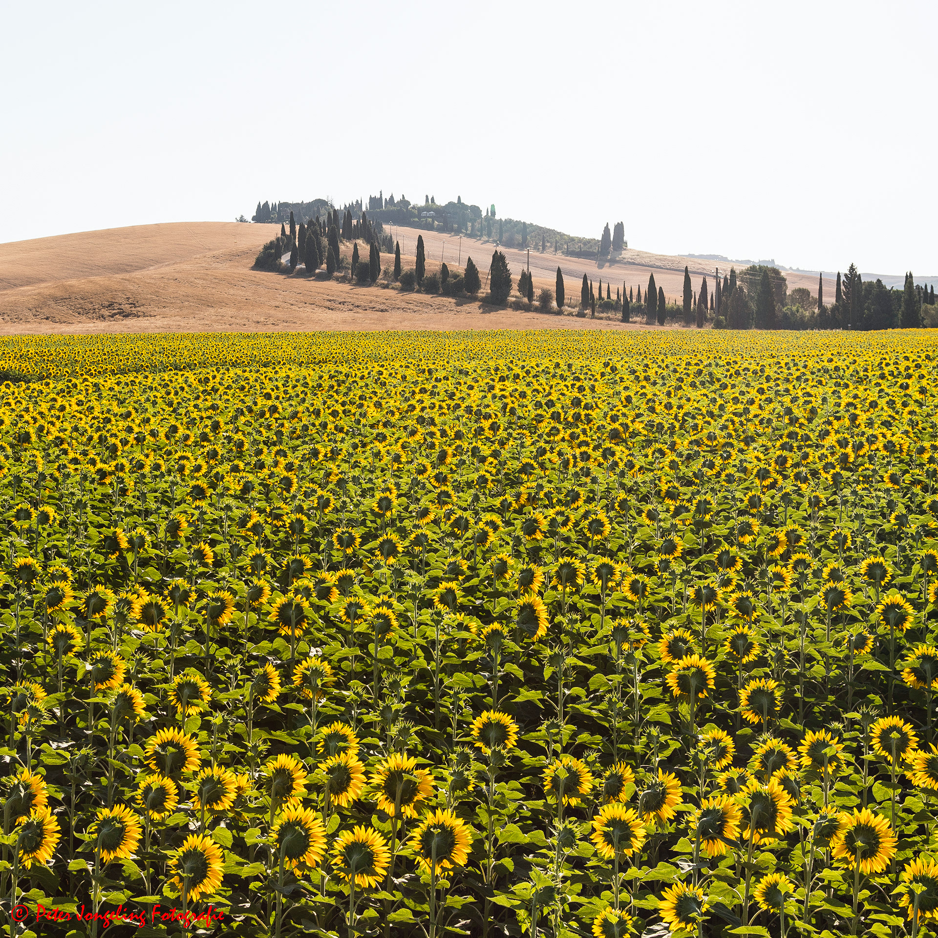 Le Crete Senesi Toscane Italië