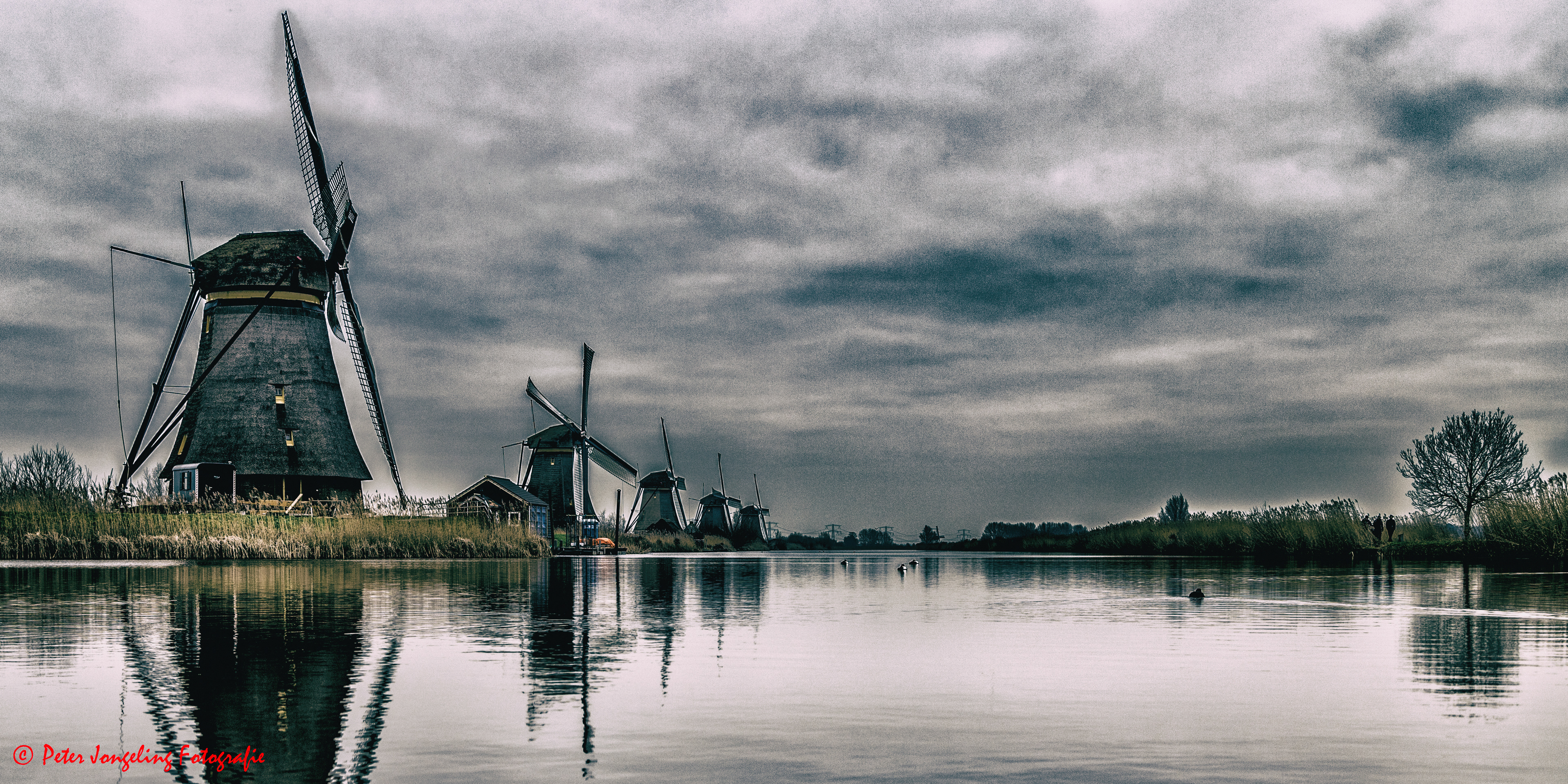 Kinderdijk