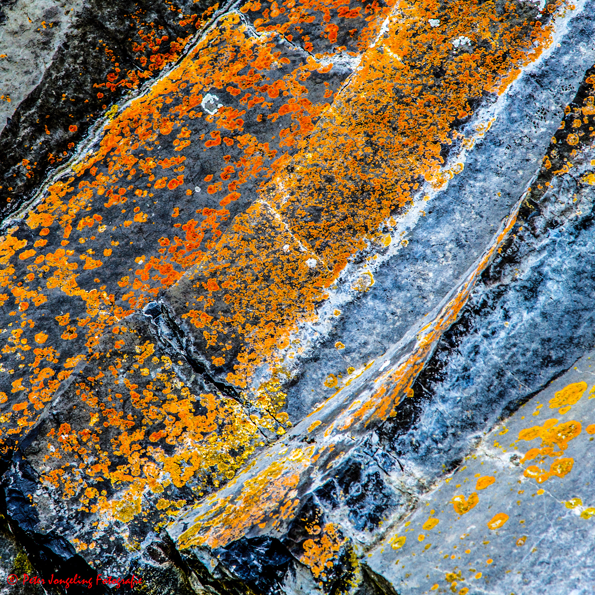 detail basaltformatie Ardêche