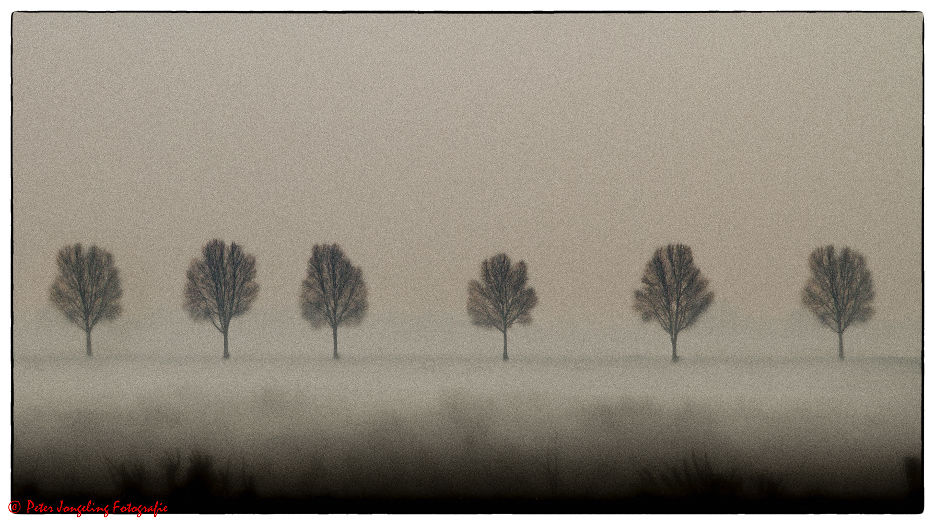 winter Breukeleveen