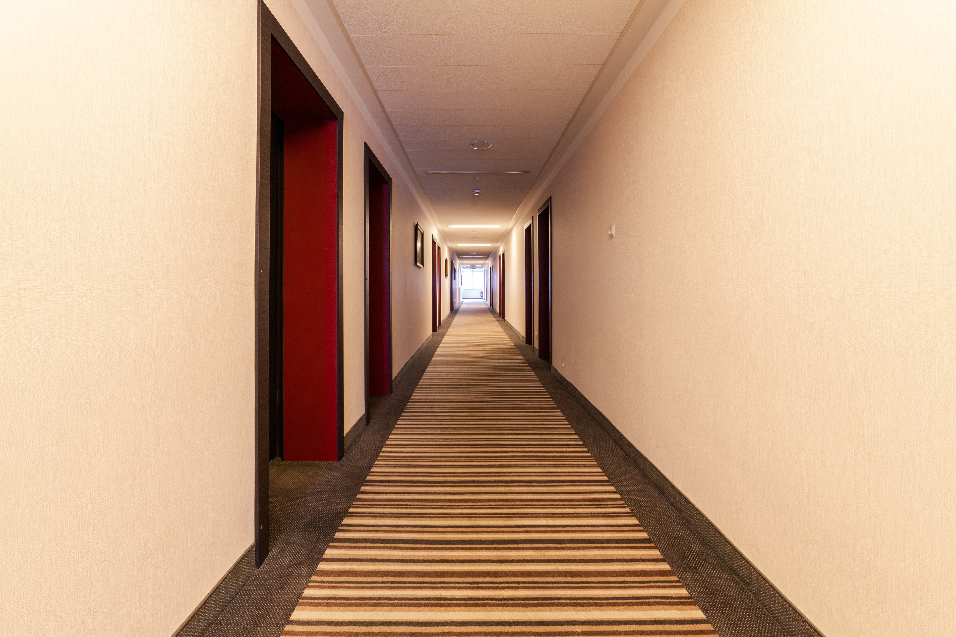 Hotel Ikar