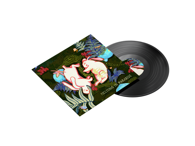 Record Concept Colorway 2