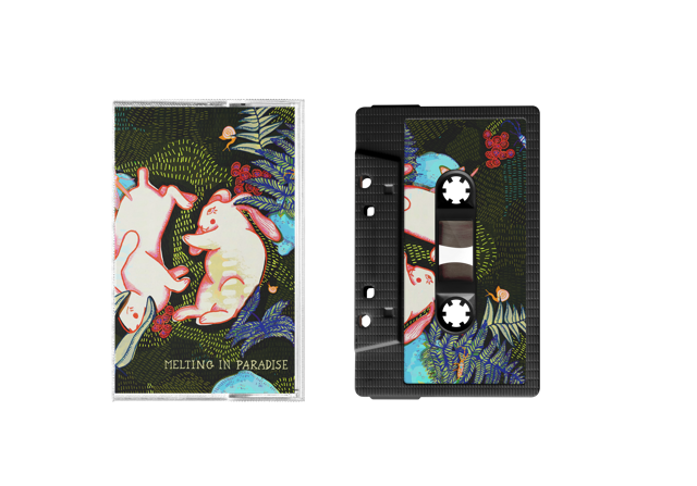 Cassette Concept Colorway 2
