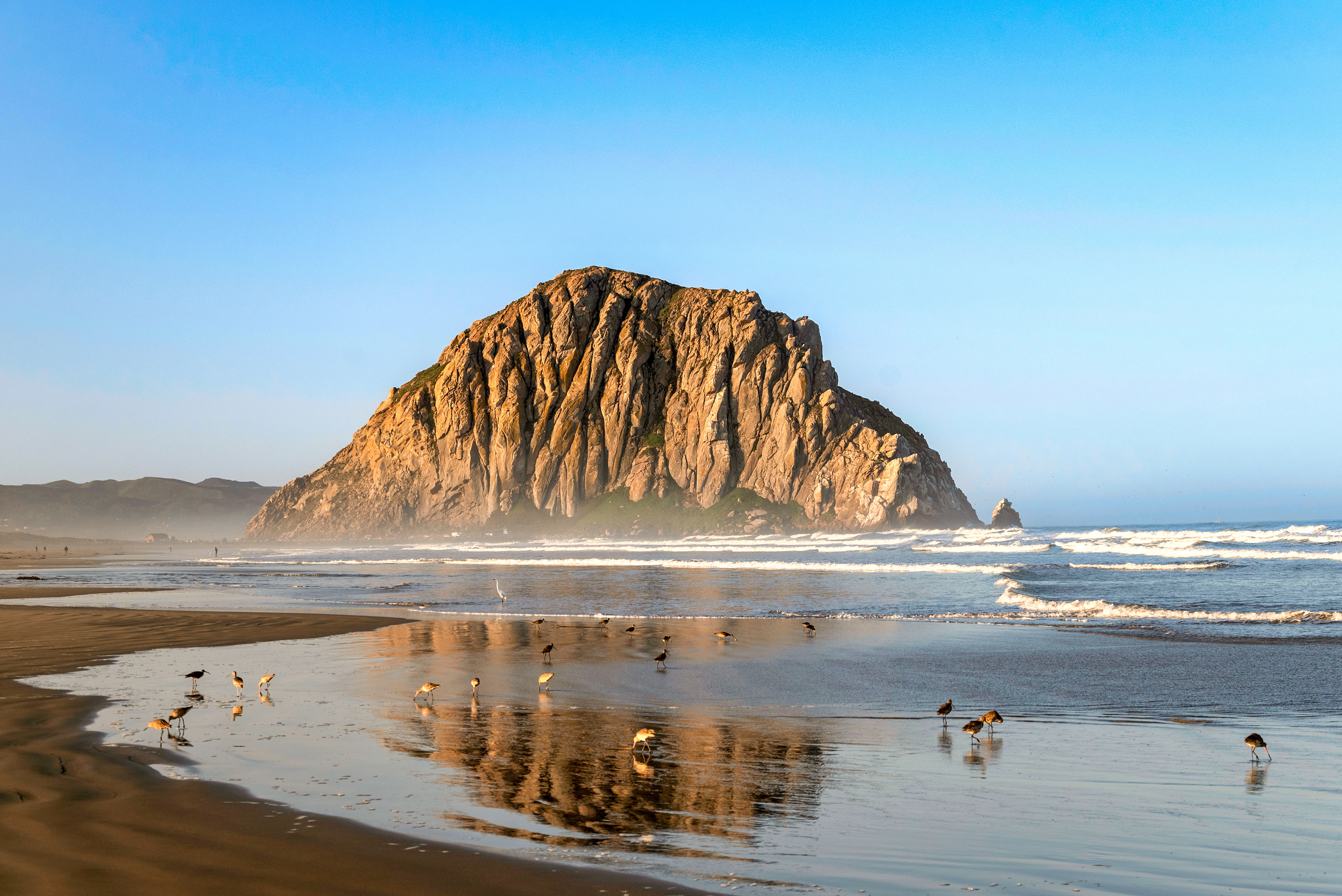 Birds on the beach at Morro Rock with reflections in Morro Bay California, fine art photography print