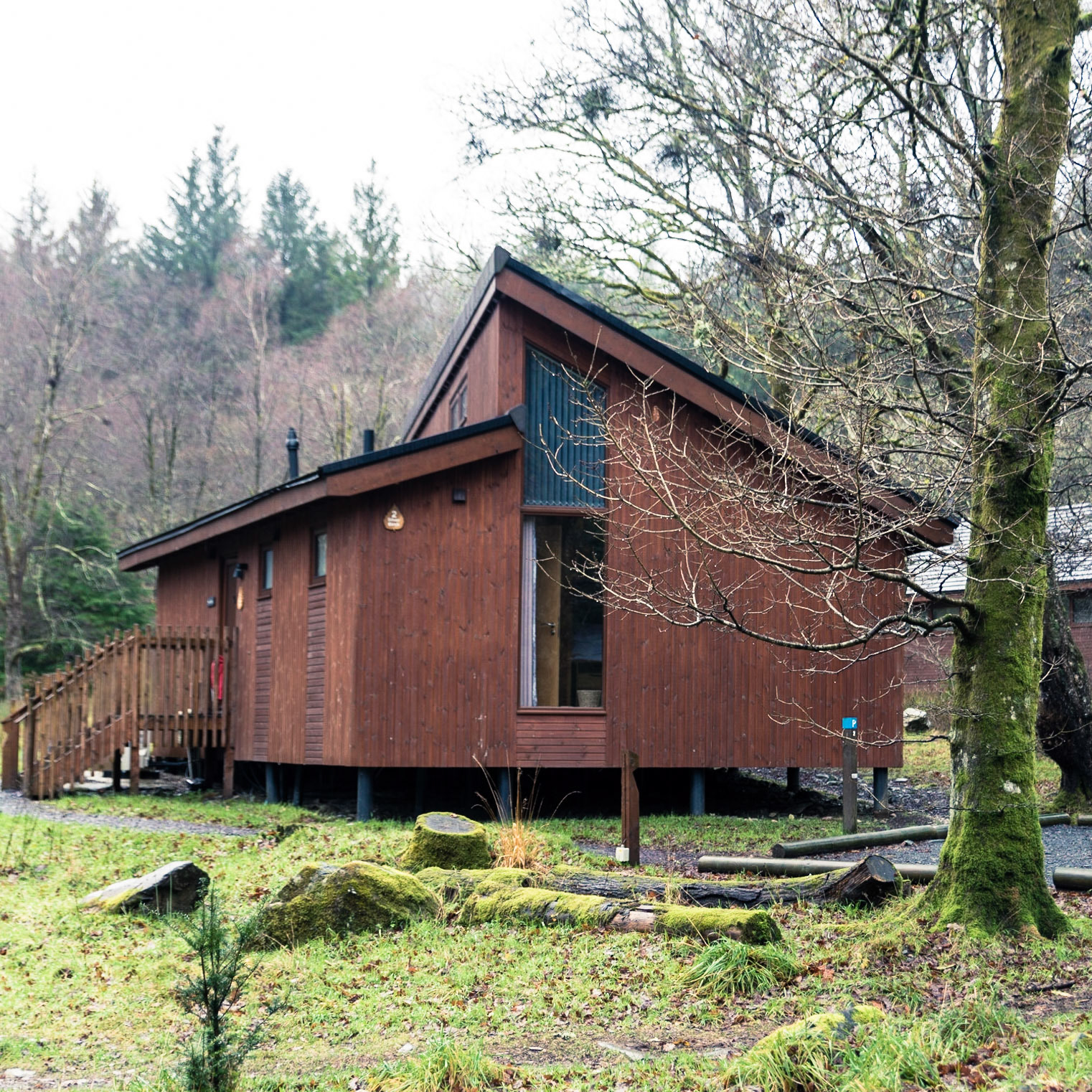 Beddgelert Forest