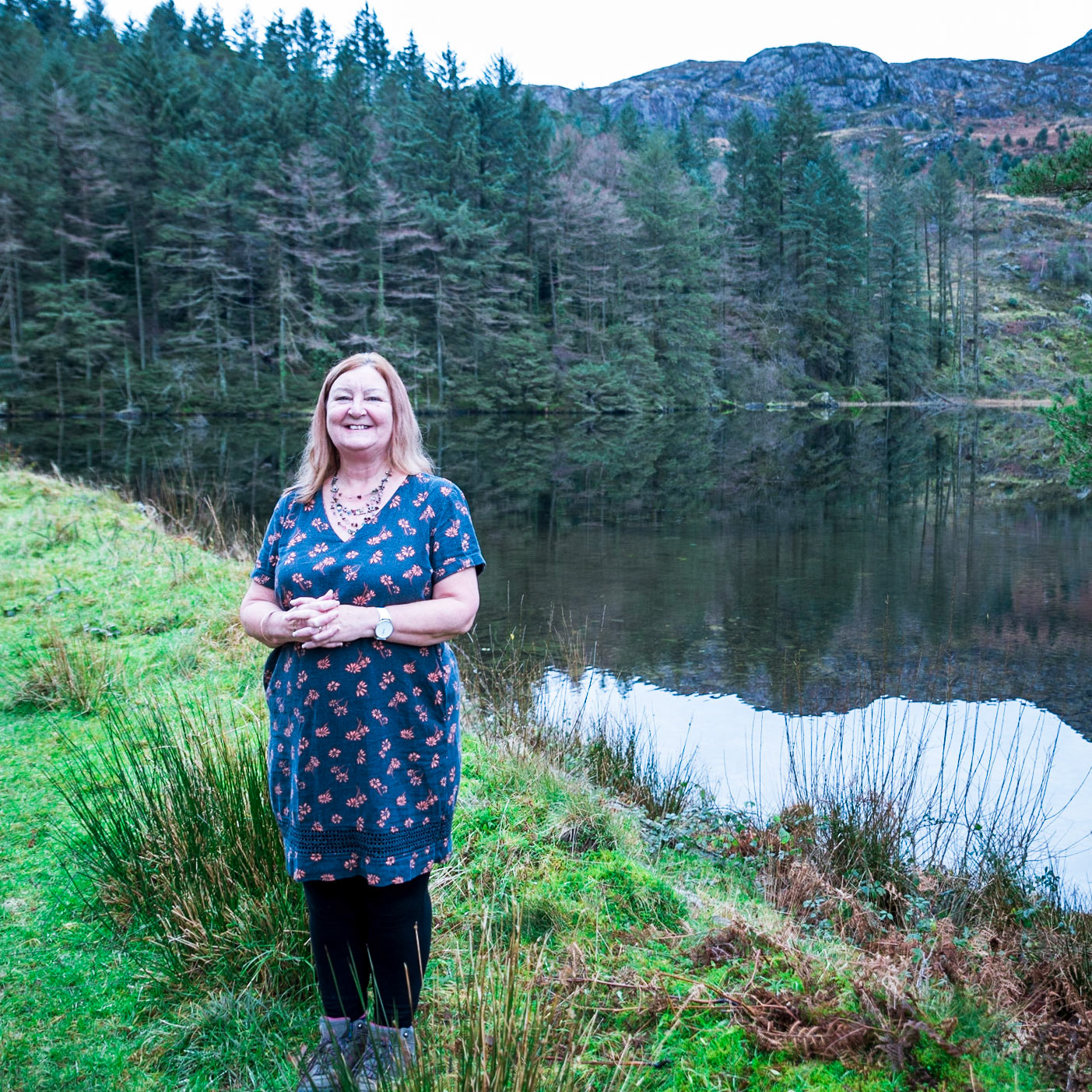 Beddgelert Forest