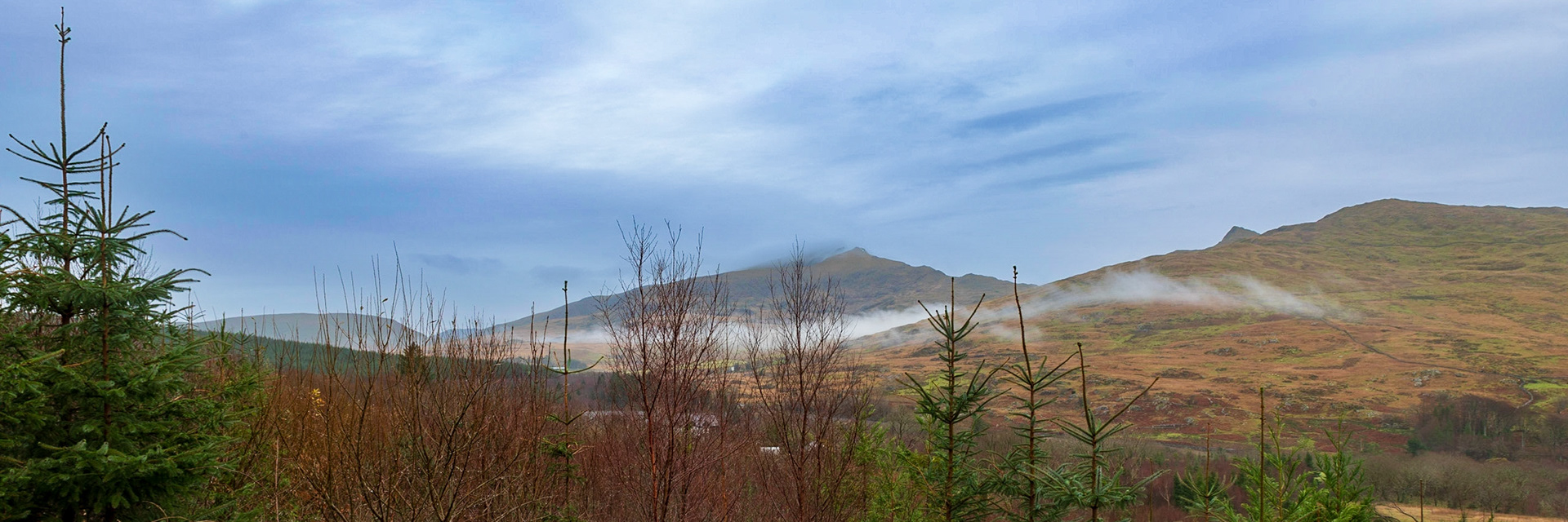 Beddgelert Forest
