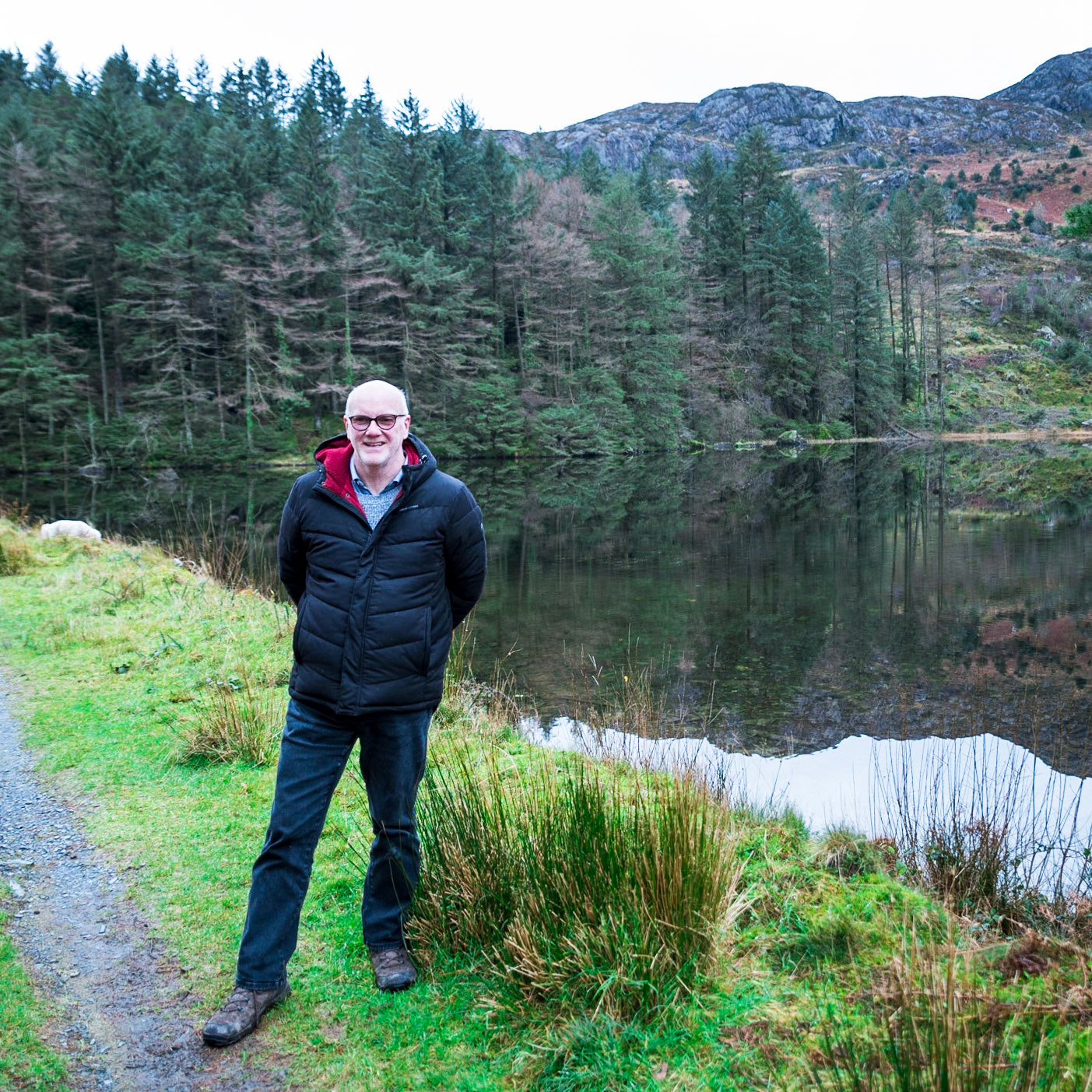 Beddgelert Forest