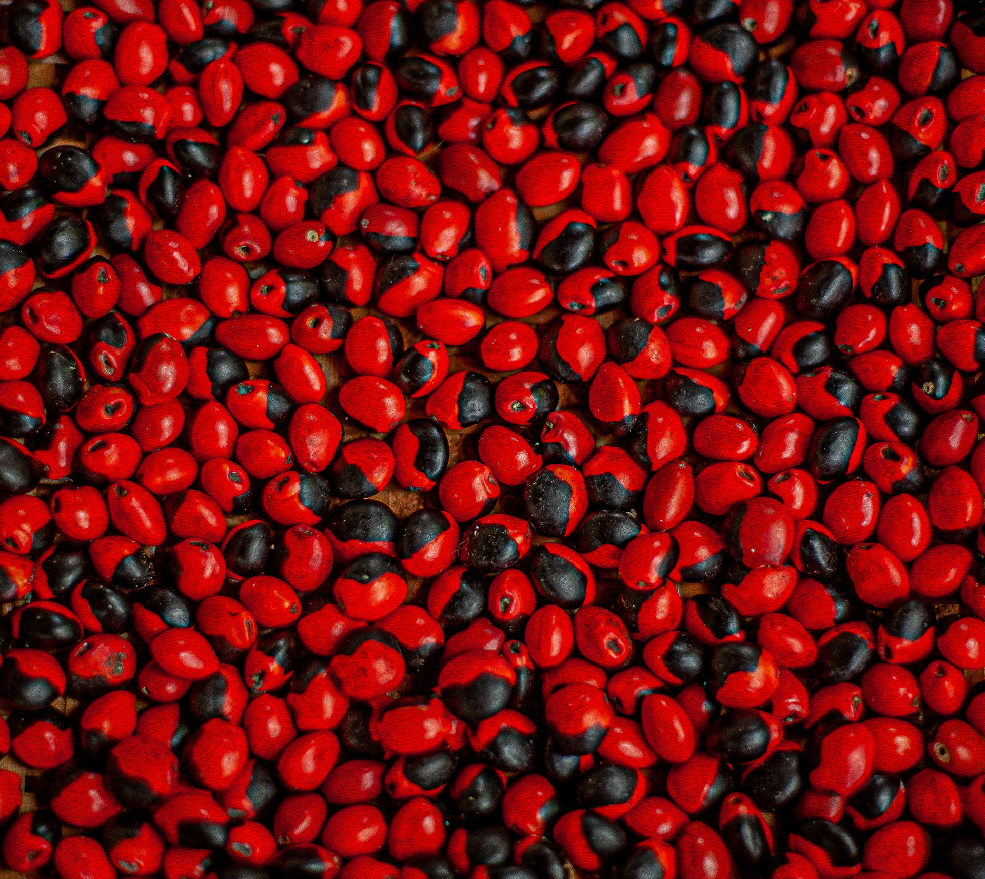 Mulungu