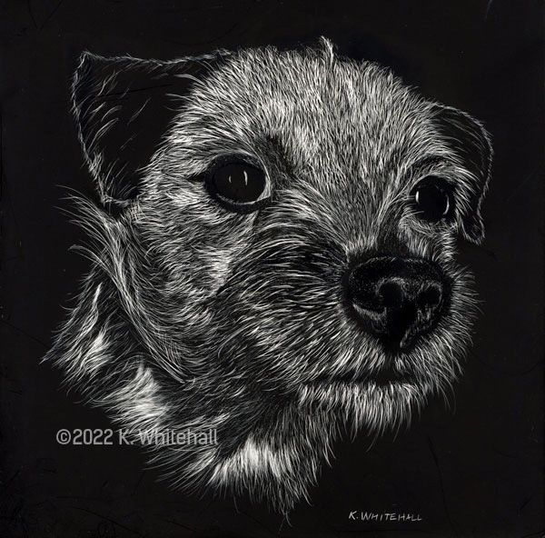 Scratchboard