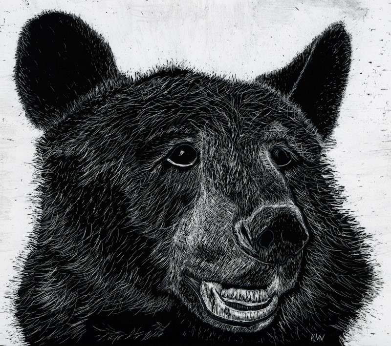 Scratchboard