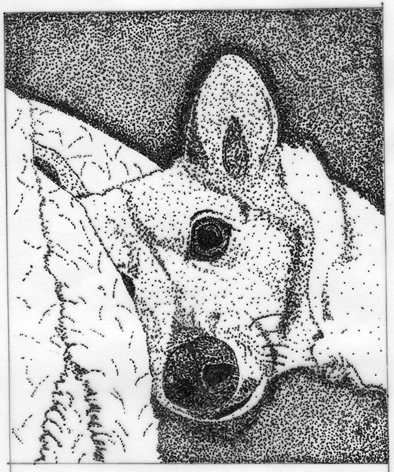 Stippling