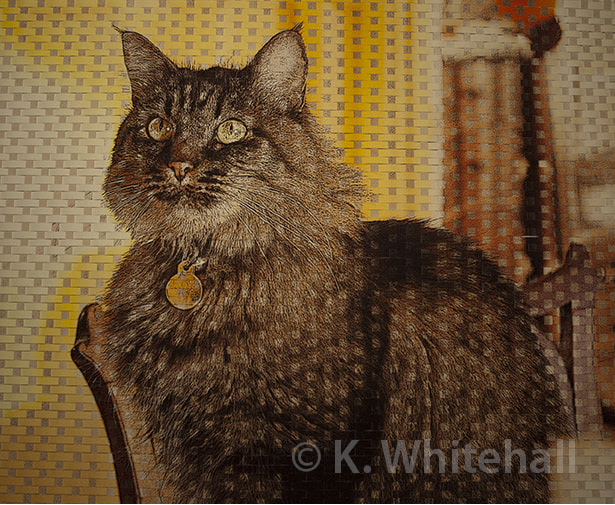 Paper Weaving/Photography