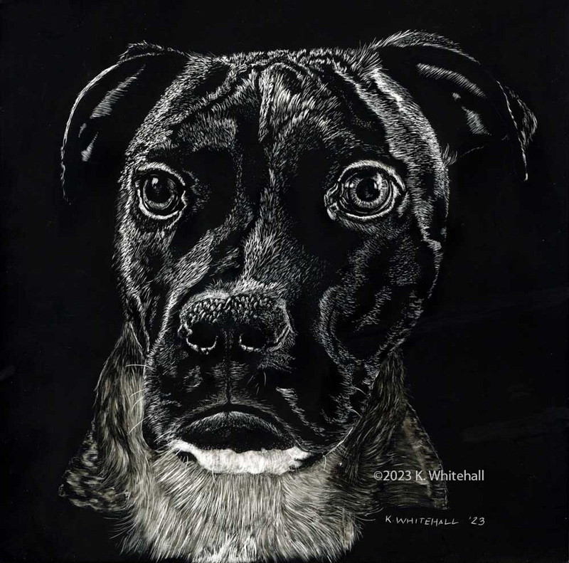 Scratchboard