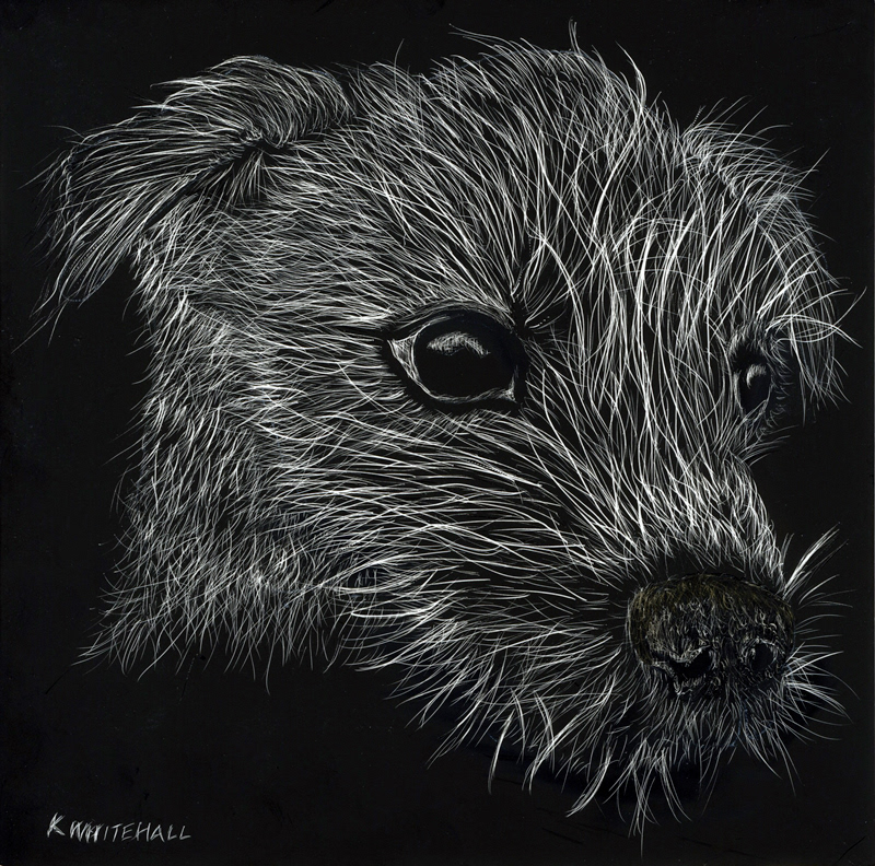 Scratchboard