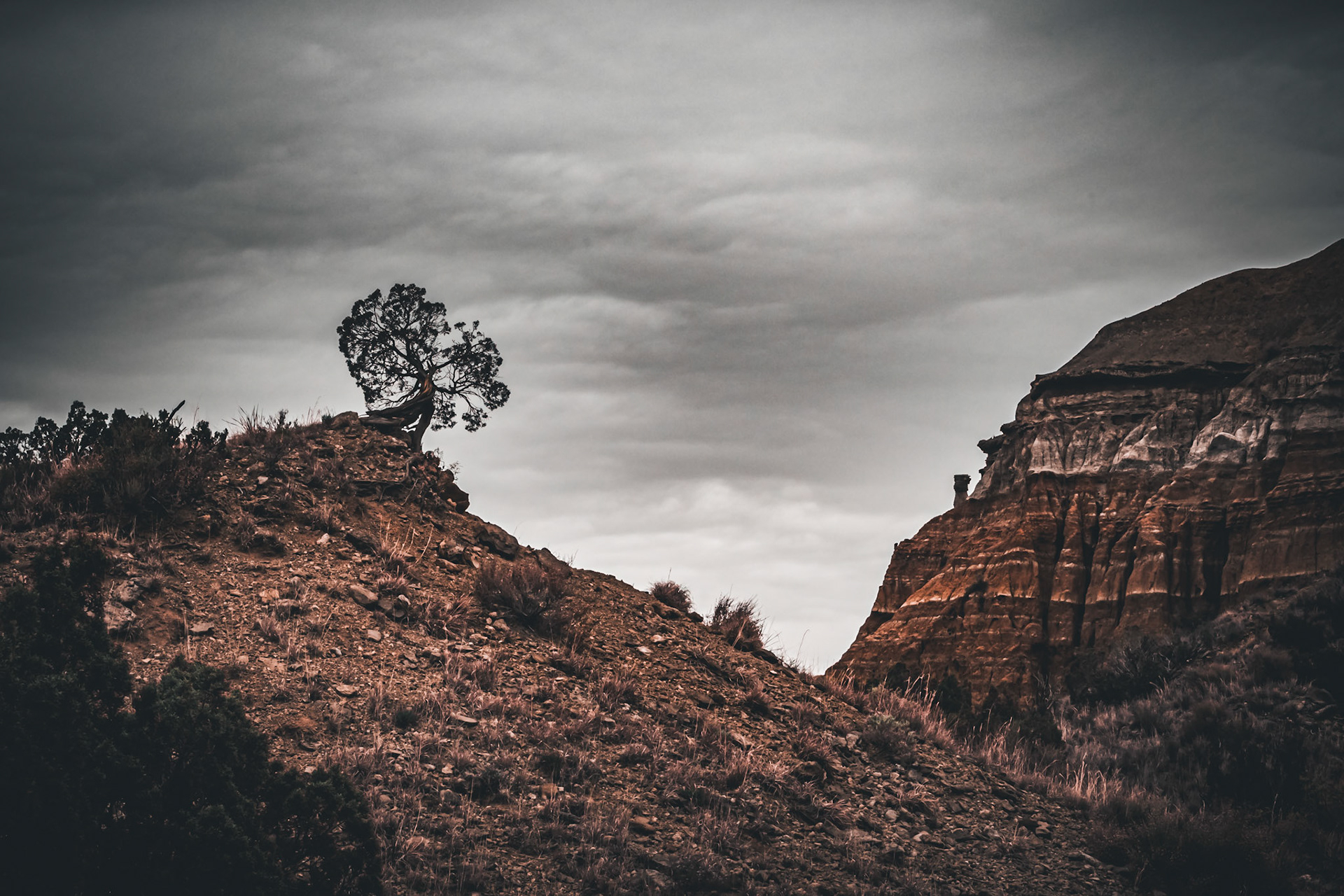 Palo Duro Canyon, TX