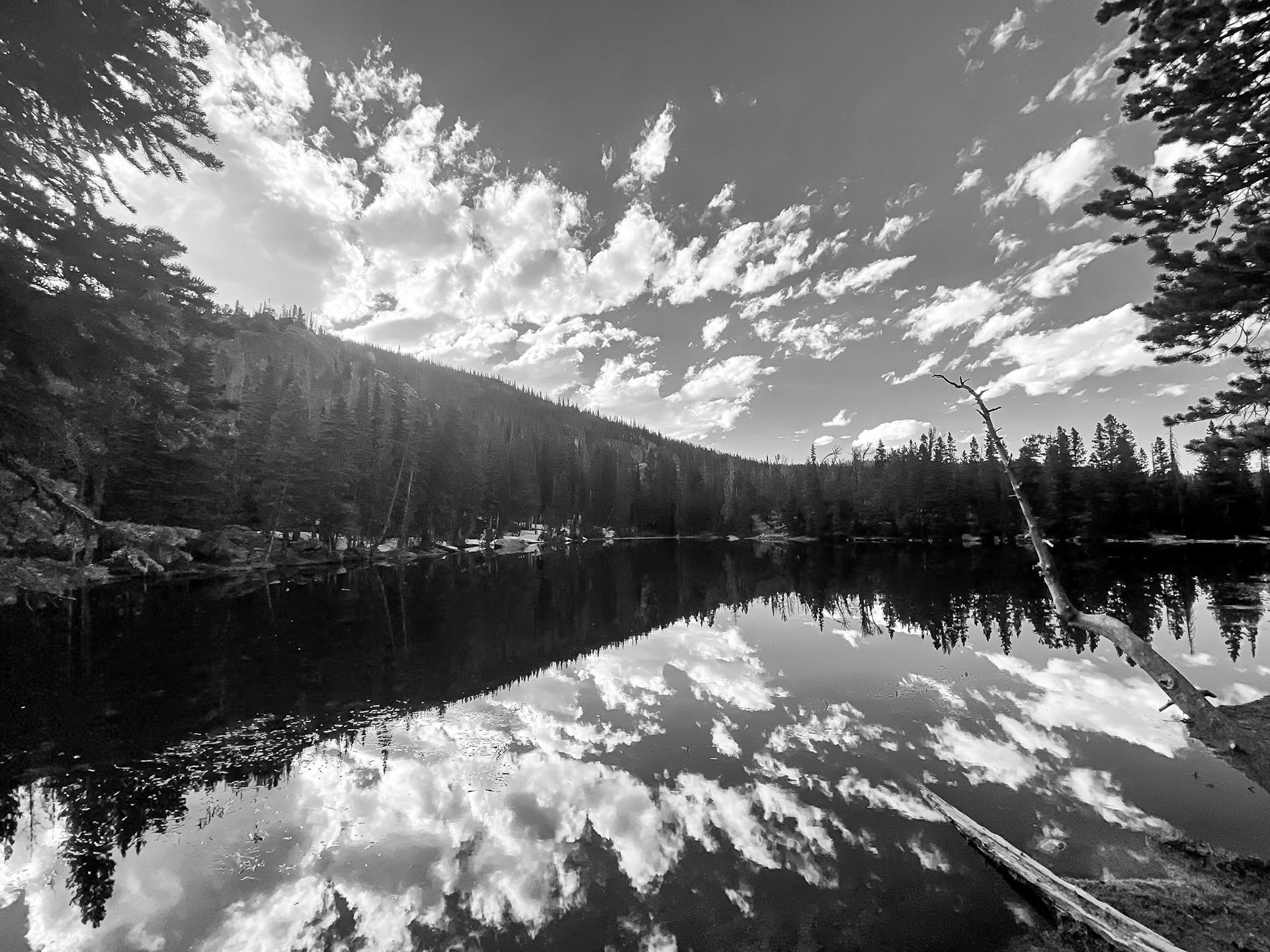 Rocky Mountain National Forest, CO