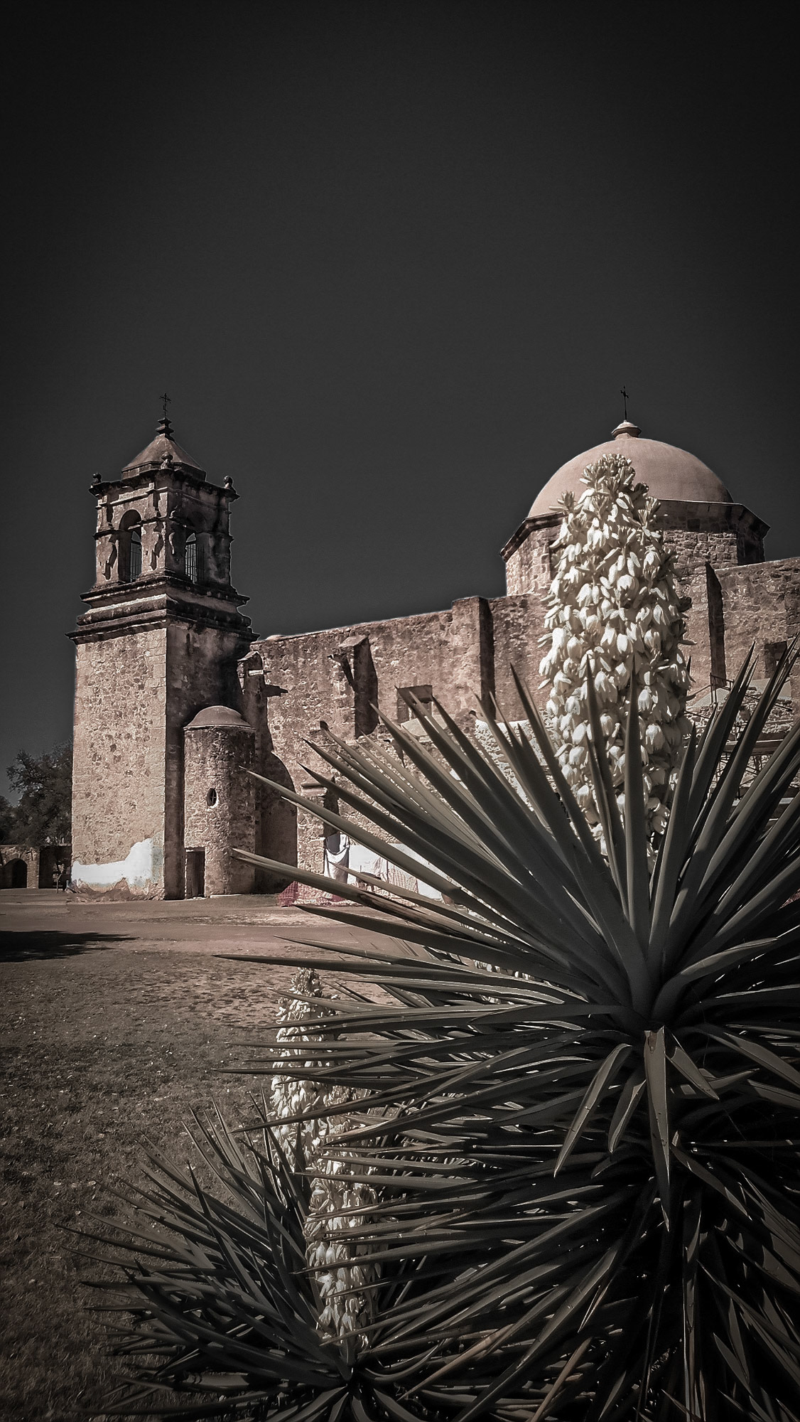 Mission San Jose