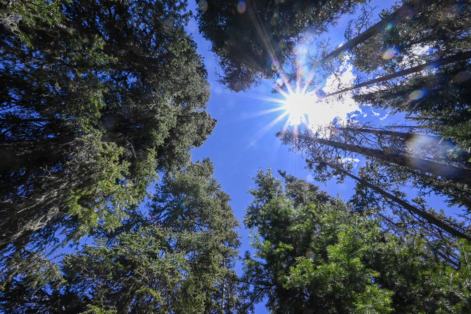Hello Sun