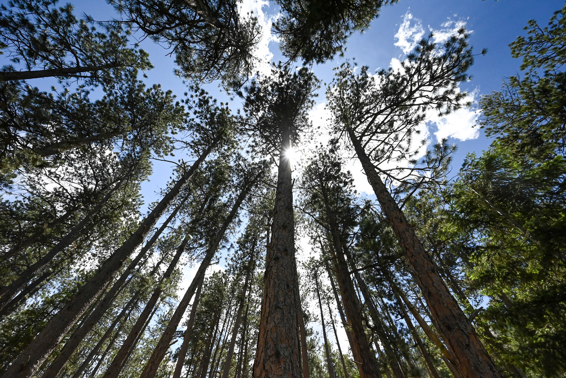 Reaching the Sky