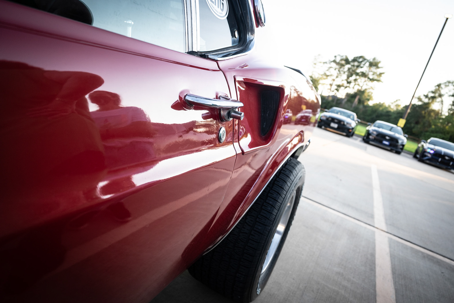 Ford Mustangs