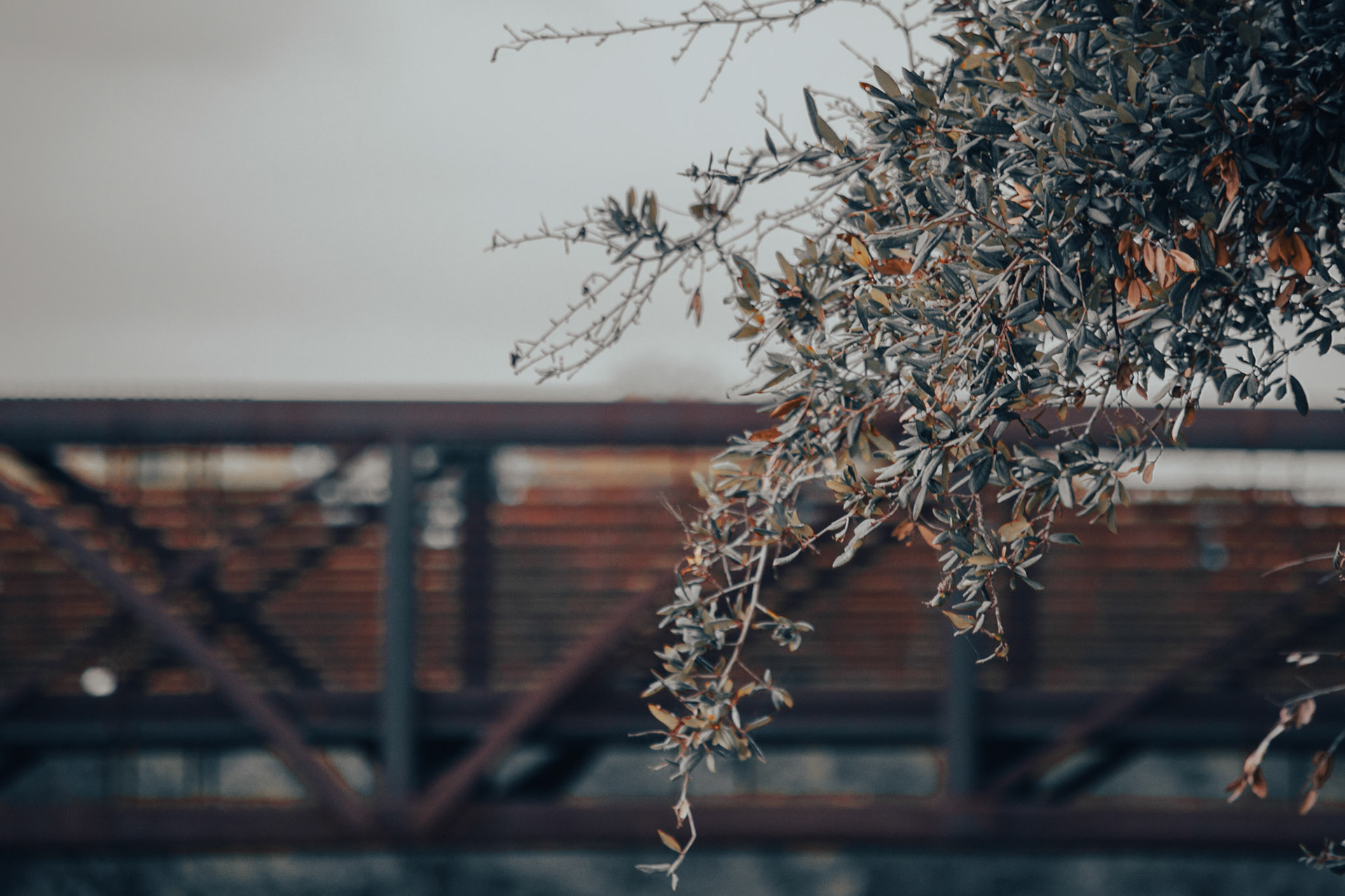 Bridge in the Distance