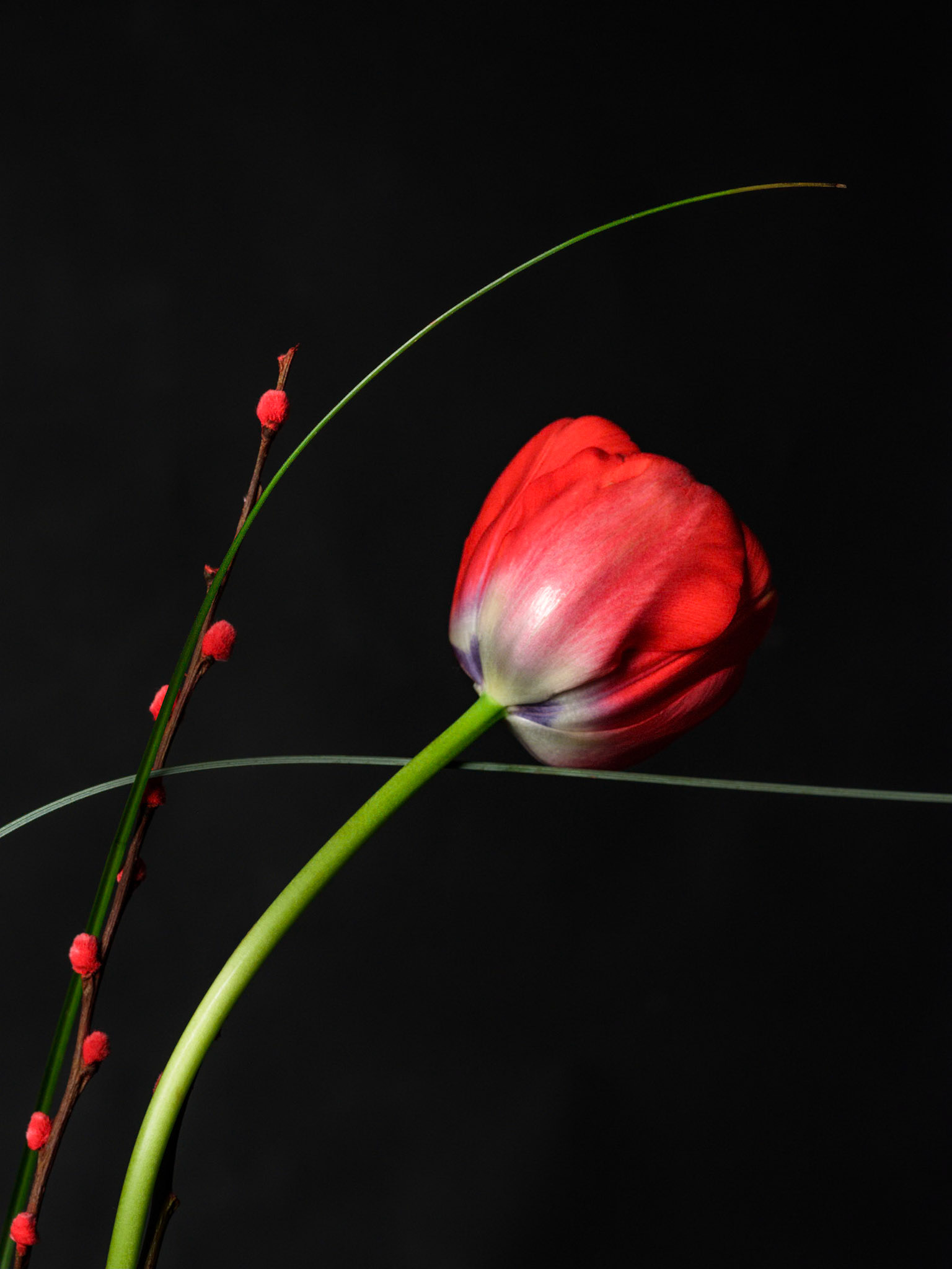 Photographer : Bettina Clauss / Set Design : Bettina Clauss / Retoucher : Bettina Clauss