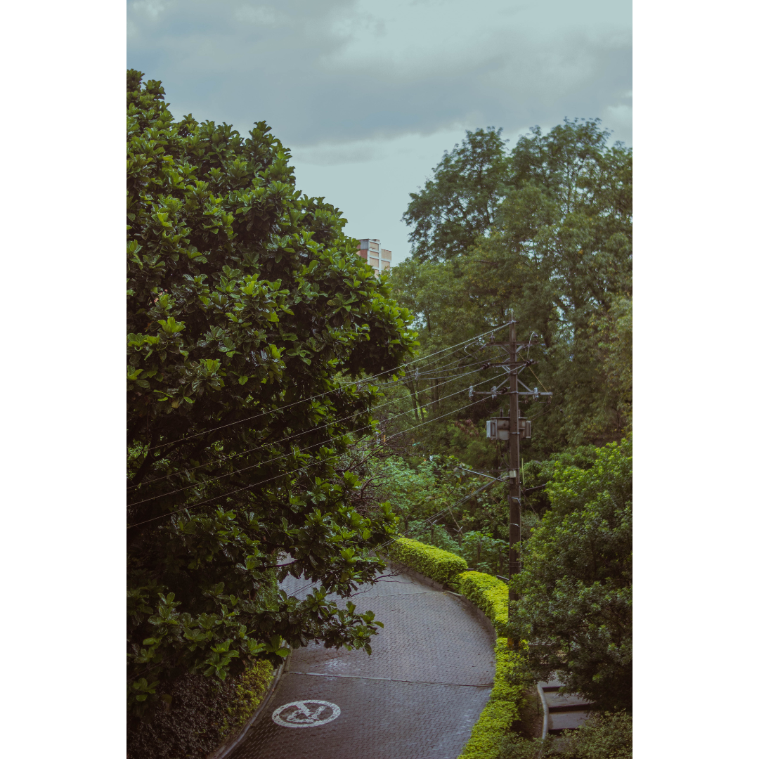 Canon t3i