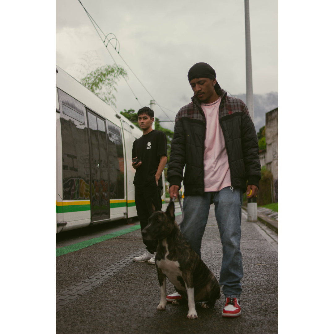 Canon t3i