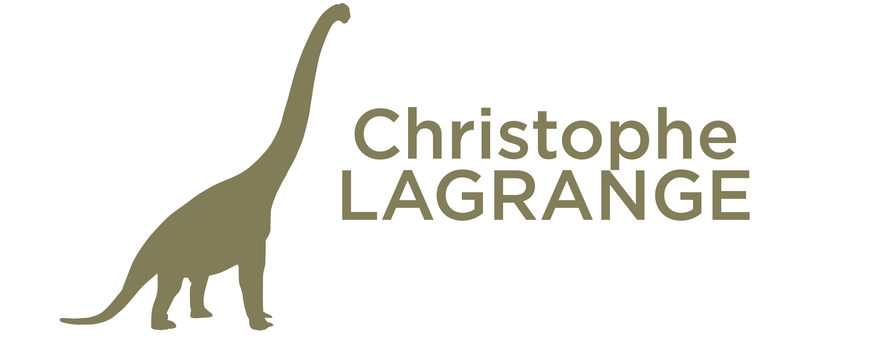 Christophe Lagrange