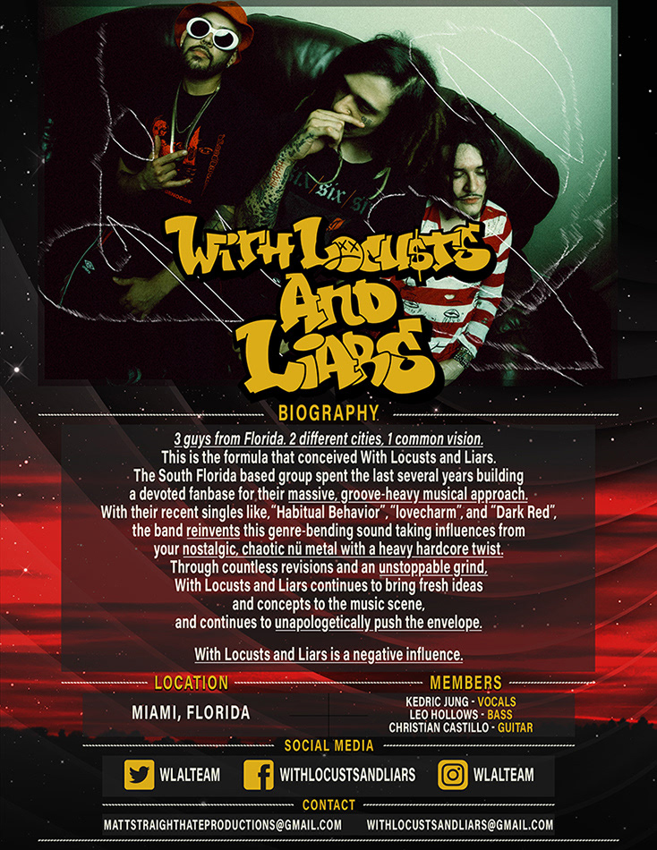 11"x17" Info Presskit